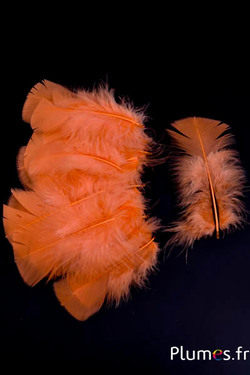 Tacchina - 6-8 cm - albicocca